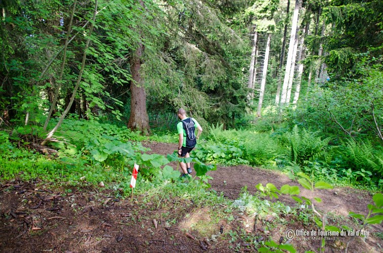 Parcours trail le Gâteau