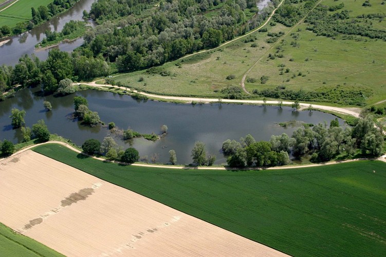 Les bords de l'Allier - PR n°60
