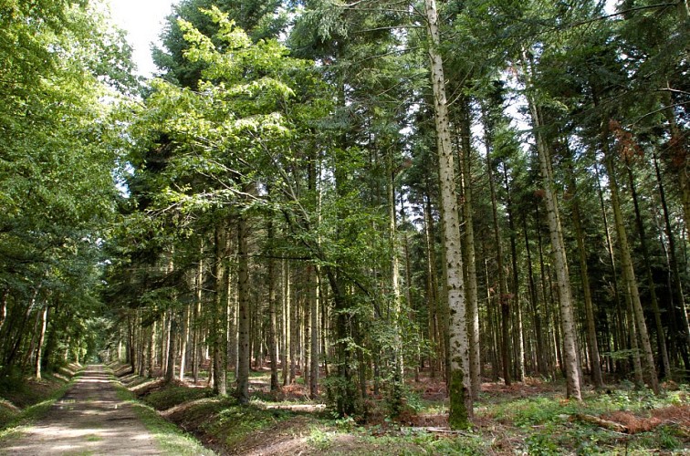 Sentier du pic des Fleurides