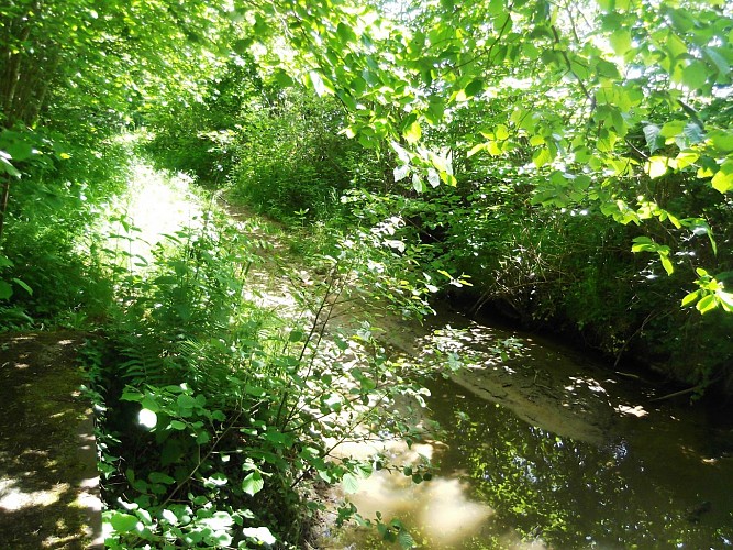 Rando Moulin de Doure