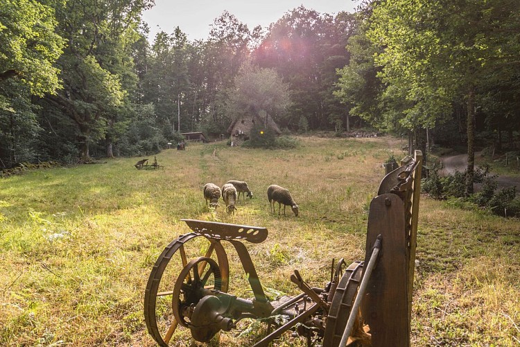 Maison de Payrac_Nages