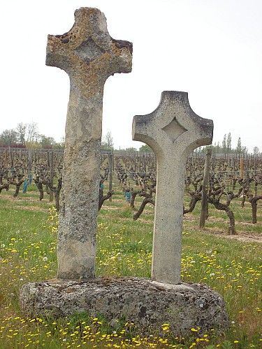 De vignes en forêts - Notre Dame d'Allençon