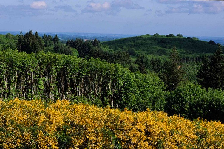 La Grande boucle du Parc Périgord-Limousin