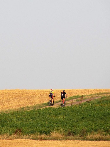 MTB Track - Country getaway in the Terres de Nacre