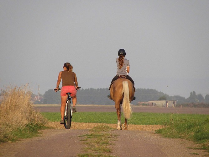 MTB Track - Country getaway in the Terres de Nacre