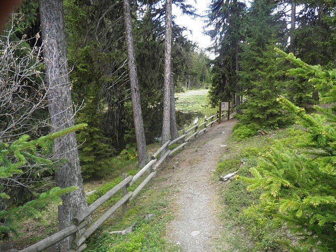 Hiking route: Plan Bois via the Sentier du Lac Noir