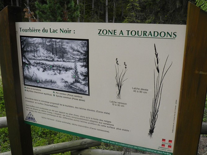 Sentier Piréton : La Tourbière du Lac Noir