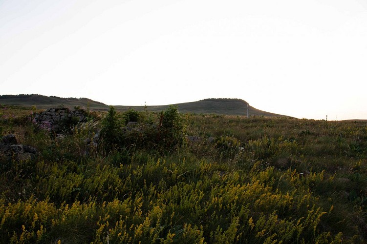 Rando Le Luguet - Burons d'Artoux