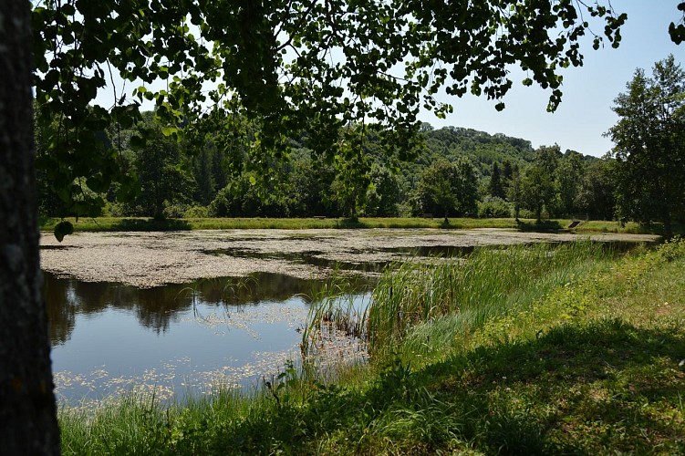lac d'Egliseneuve d'Entraigues