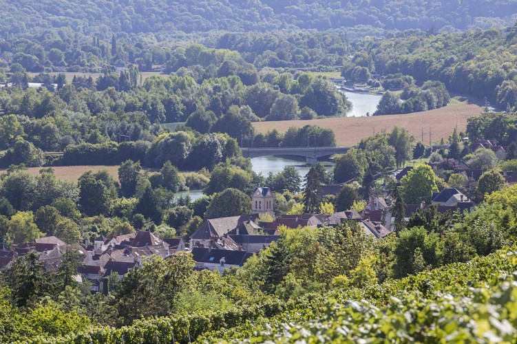 The Long Variation of the Vineyards Trail