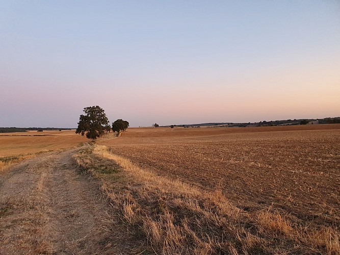 Randonnée à Thianges
