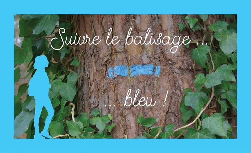 37. Sendero del Nid de Chien – Salida: Priorato situado detrás de la iglesia de Saint-Philbert-sur-Risle