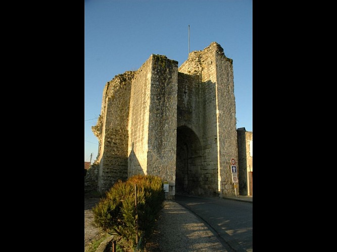 Design sans titre - 1