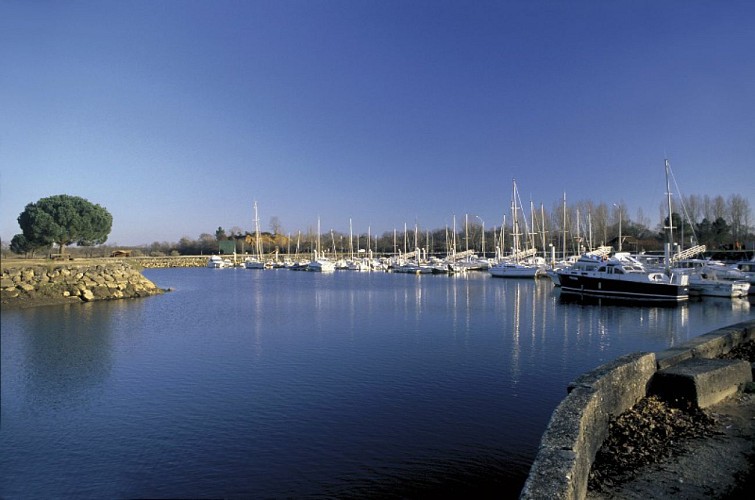 Port du Teich