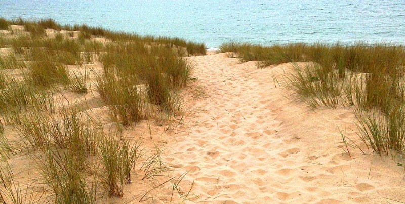 sentier dunaire Lacanau