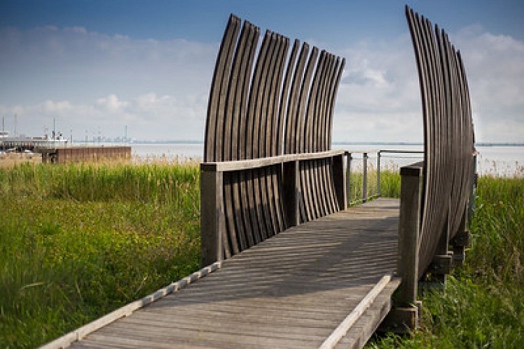 33638635893_3161f94a56_w