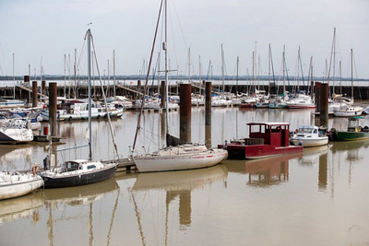 50218117231_03608ea47b_w