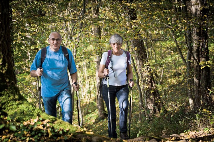 La Grande Traversée de la Forêt du Pays de Chimay: tronçon 1: Macquenoise - Virelles