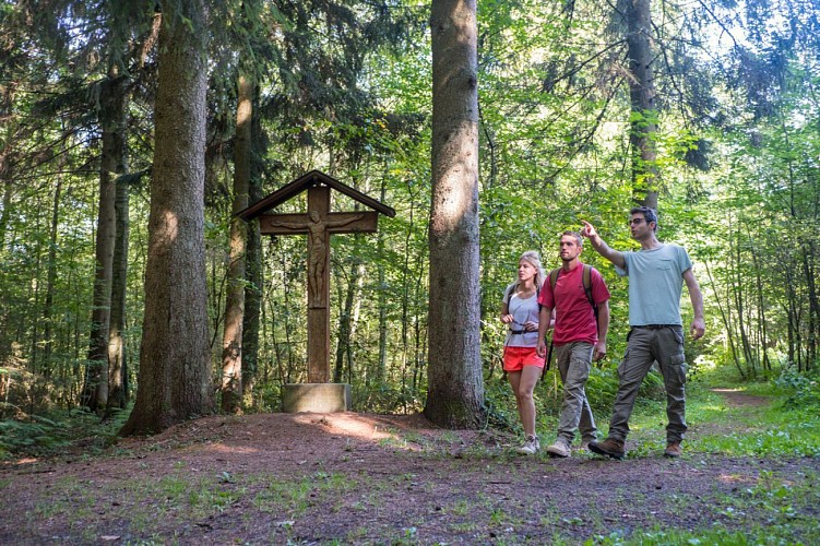 Le Sentier GR des Abbayes Trappistes de Wallonie