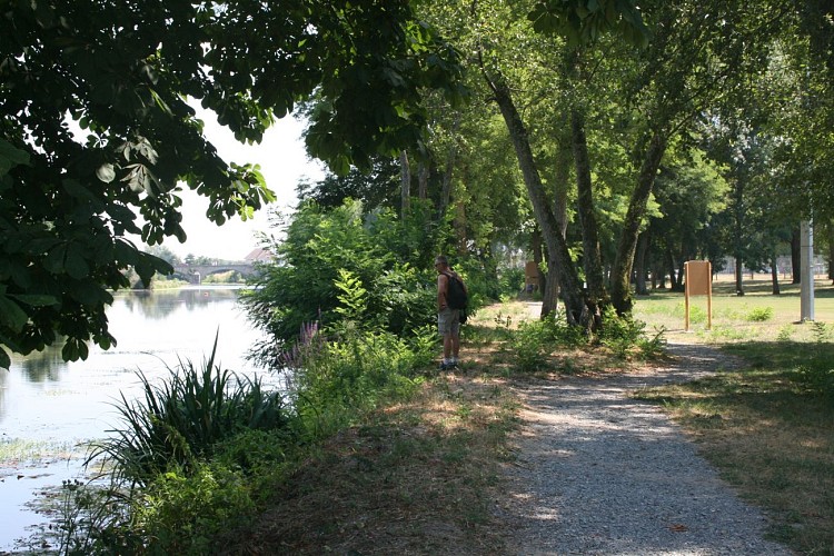 Sentier d'Interprétation de la Vieille Loire