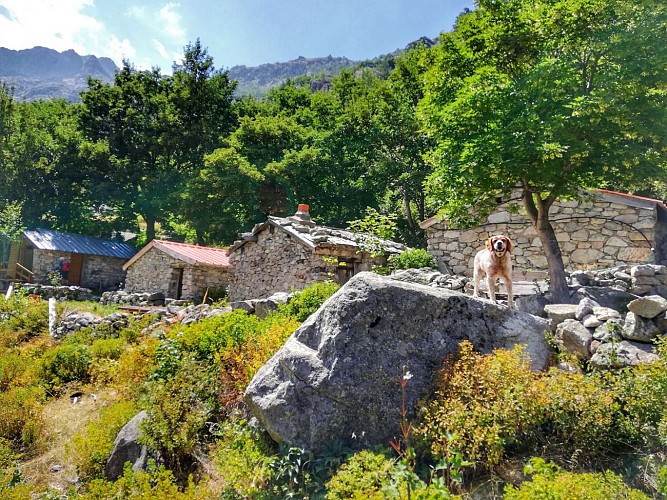 Bergeries de Traggette