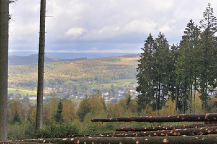 Panorama- und Höhentouren: Rodt