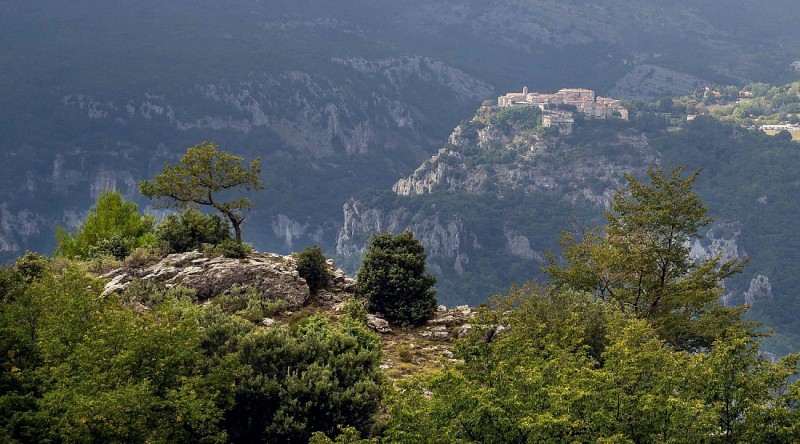 St Barnabé - Puy de Tourrettes -  Pic de Courmettes