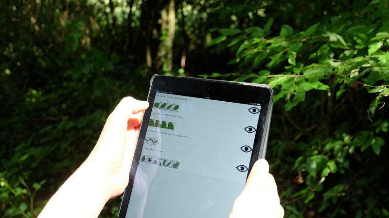 Ecobalade, une application gratuite pour reconnaître la faune et la flore présentes sur le circuit