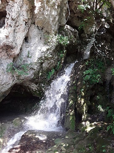 Cascade aux abords d'un moulin écrasé (panneau 1)