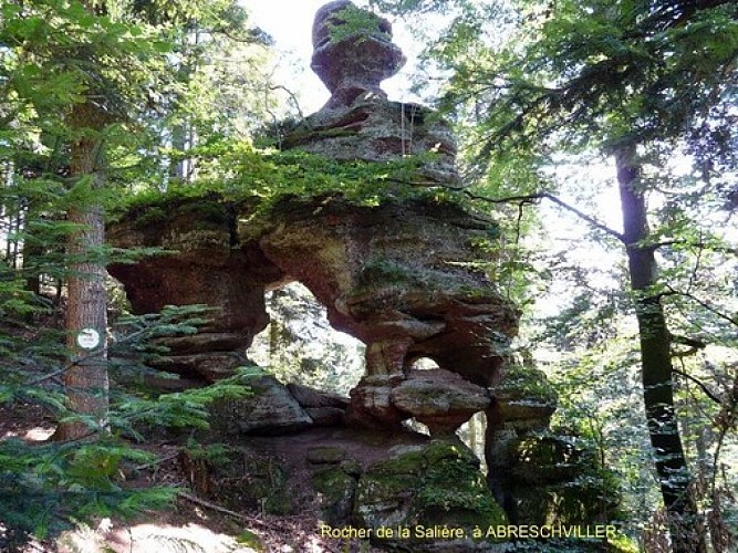 Rundfahrt Nr. 3: Wanderweg zum Felsen von Salière, vorgeschlagen von den freiwilligen Blutspendern
Beachten Sie bitte:
- übersetzen Sie keine Eigennamen
- achten Sie auf Feinheiten