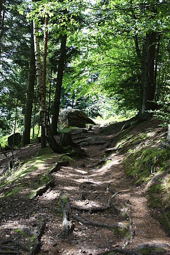 Rundtour Nr. 6: Sentier des Rochers, vorgeschlagen von den Veteranen der Montagnarde
Beachte: 
- keine Eigennamen übersetzen
- die Feinheiten beachten