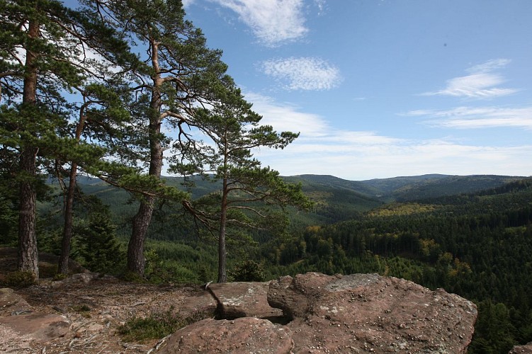 Route nr. 6: Sentier des Rochers, voorgesteld door de veteranen van de Montagnarde