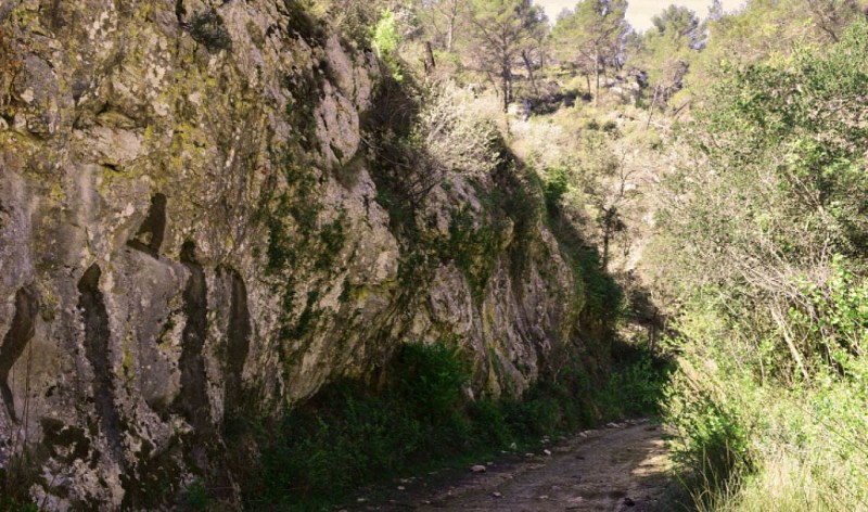 SIMIANE-COLLONGUE - Walk in the Provençal Canyon