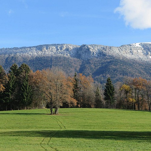 Entre Mûres et Viuz 