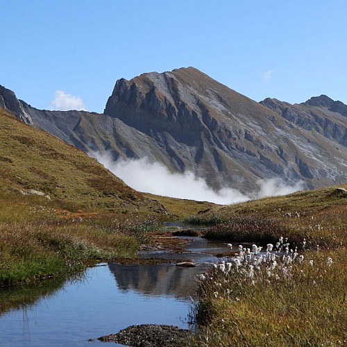 ruisseau de La Forclaz