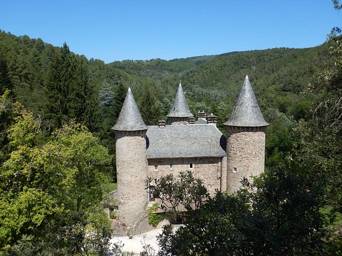 Chateau Montjoie