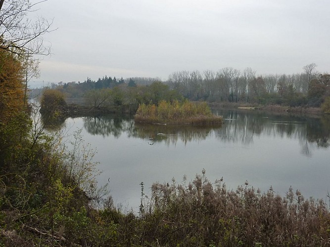 Achère à St Germain en Laye