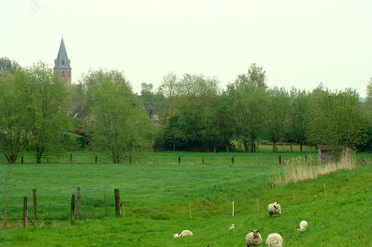 Religieus erfgoed rondom Temse-Hamme. Fietsroute 'Heilig Harnas'