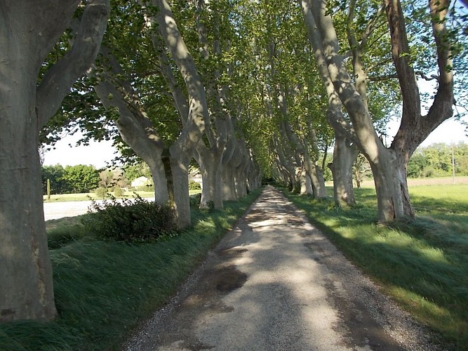 Sur la route du Château de Verclos