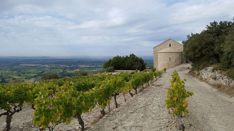 Saint Hilaire sur le plateau des Courens