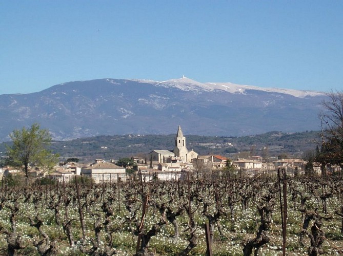 Mazan au pied du ventoux