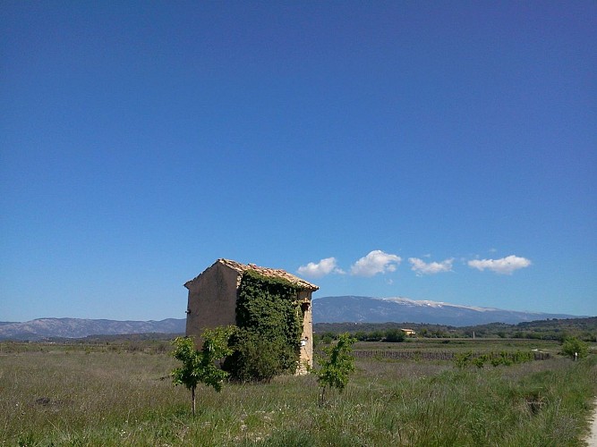 La campagne Mazanaise