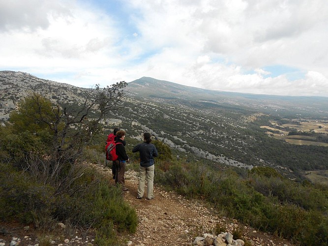 Panorama Ventoux sud