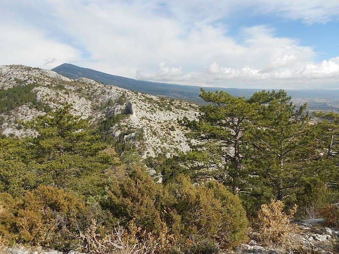 Sur les hauteurs de la Combe Obscure