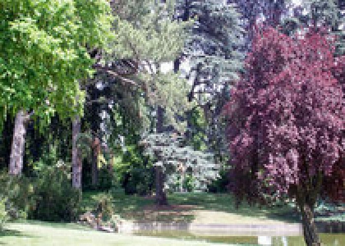 Le Jardin du Trocadero au Parc de saint Cloud
