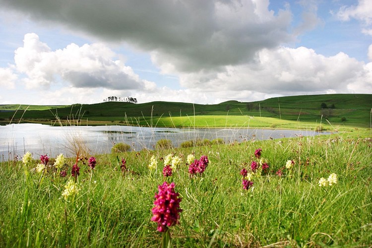 Tour of Lac du Jolan