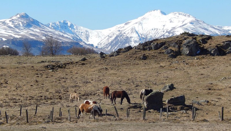 Tourbières Jolan et Gazelle Espace Naturel Sensible du Cantal