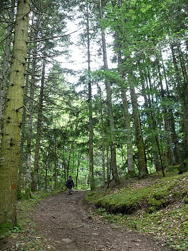 Le sentier des vieilles pierres