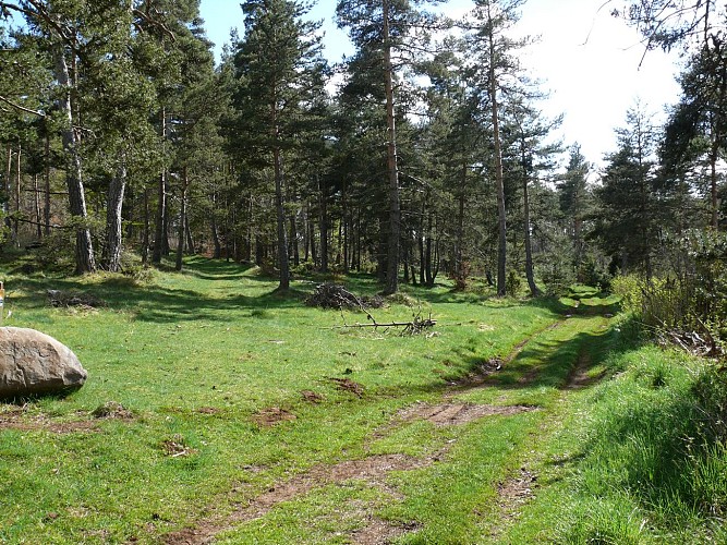Le sentier des vieilles pierres