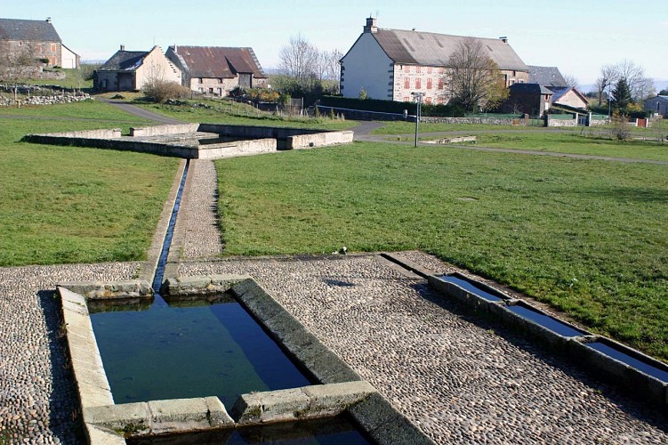 Le bois de la Pinatelle